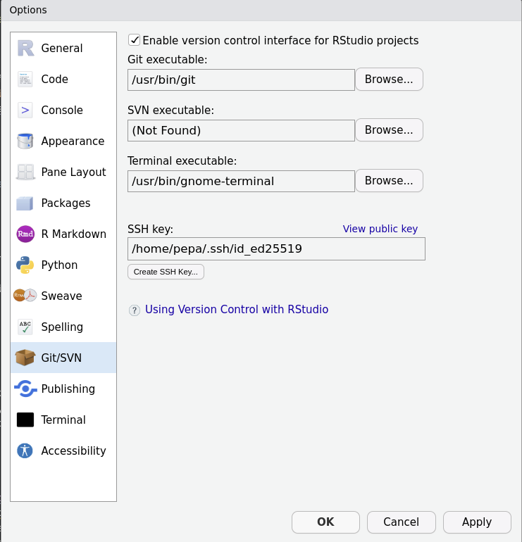 Copy the public key for the SSH connection.